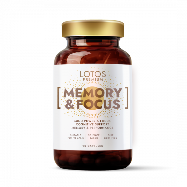 Memory & Focus